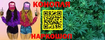 Альфа ПВП Можга
